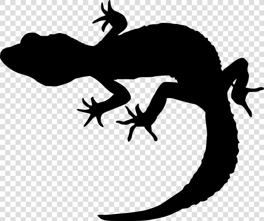 Clip Art Gecko Portable Network Graphics Silhouette   Gecko Silhouette Png  Transparent PngTransparent PNG