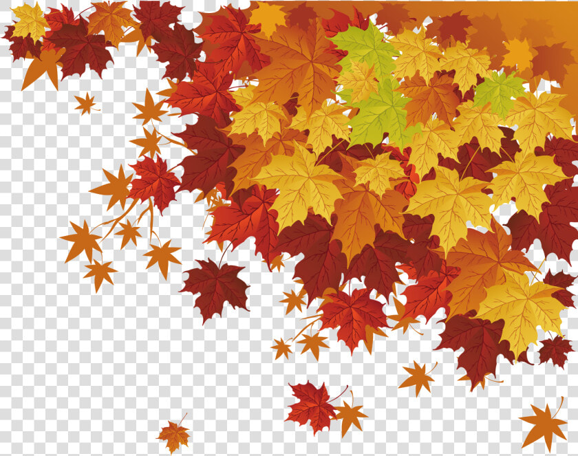 Clip Transparent Autumn Leaf Color Maple Transprent   Autumn Leaves Cartoon Png  Png DownloadTransparent PNG