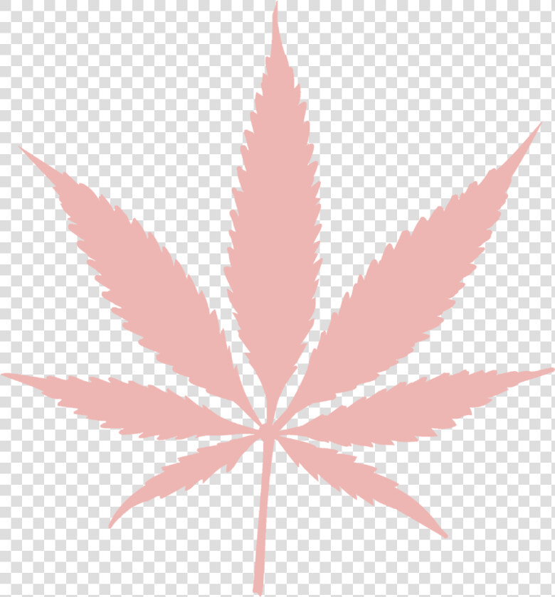 Pot Leaf   Png Download   Weed Leaf Green Screen  Transparent PngTransparent PNG