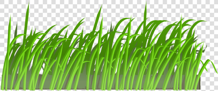 Grass  Lawn  Green  Nature  Spring  Meadow  Summer   Cartoon Lawn  HD Png DownloadTransparent PNG