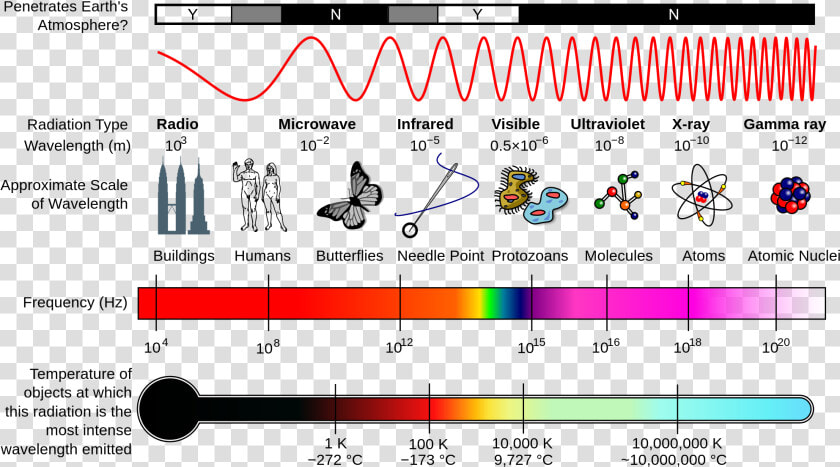 Https     en   Wikipedia   Org wiki electromagnetic   Type Of Electromagnetic Radiation Has The Longest Wavelength  HD Png DownloadTransparent PNG