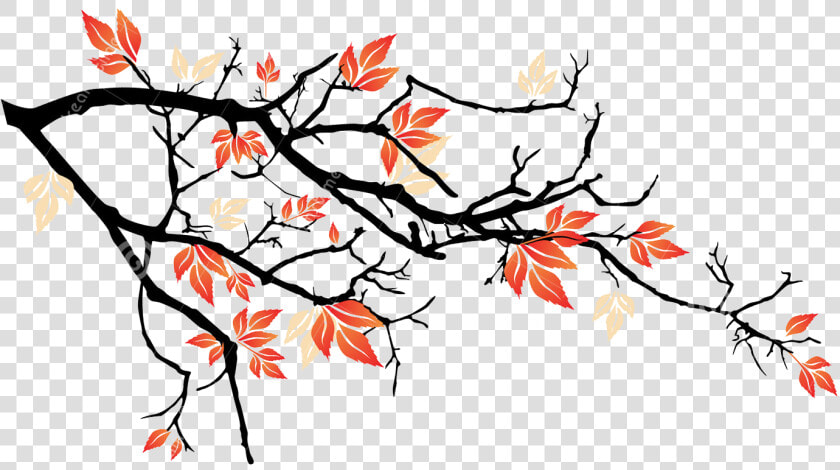 Transparent Falling Petals Png   Tree Branches Falling Petals Illustration  Png DownloadTransparent PNG