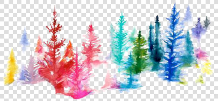  ftestickers  watercolor  trees  forest  colorful   Watercolor Painting  HD Png DownloadTransparent PNG