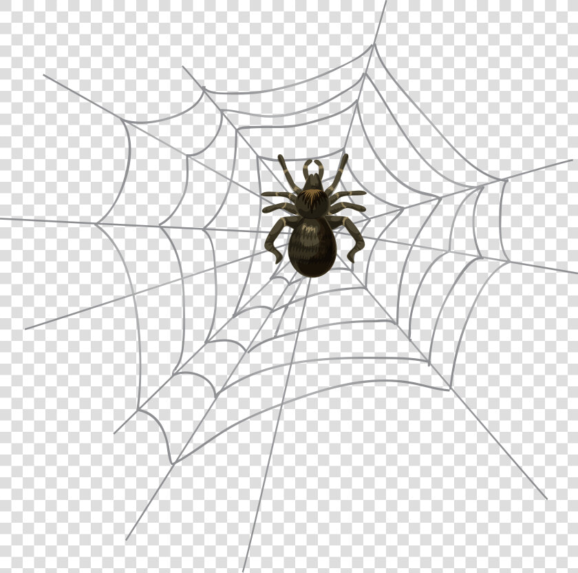 Spider Clipart Spider Webb  HD Png DownloadTransparent PNG