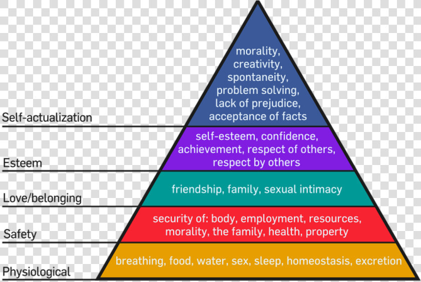 Maslow  39 s Hierarchy Of Needs Activity  HD Png DownloadTransparent PNG