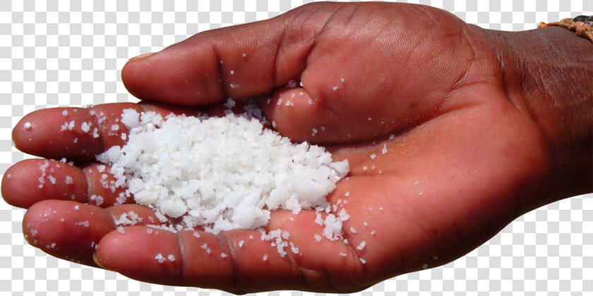 Sea Salt In Palm Of Hand Png Image  Transparent PngTransparent PNG