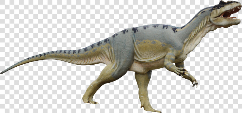 Dinosaur Png Image   Transparent Background Dinosaur Png  Png DownloadTransparent PNG