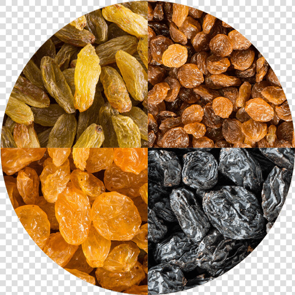 Raisins   Confectionery  HD Png DownloadTransparent PNG