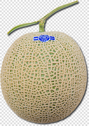 Honeydew  HD Png DownloadTransparent PNG