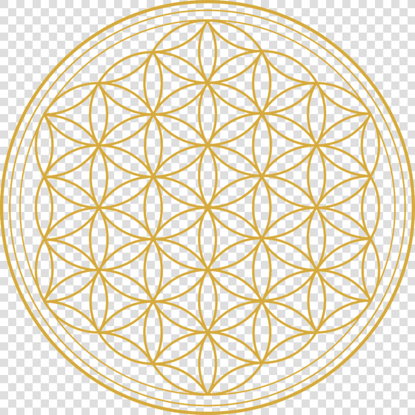 Transparent Flower Of Life Png   Flower Of Life Tattoo Outline  Png DownloadTransparent PNG