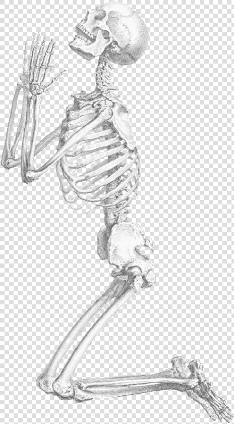 Halloween Skeleton Transparent Background   Praying Skeleton Png  Png DownloadTransparent PNG