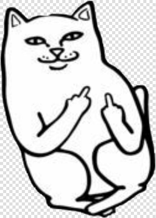 Fuck You Cat   Png Download   Middle Finger Cat  Transparent PngTransparent PNG