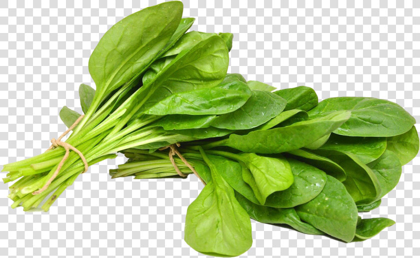 Spinach Png Free Image   Palak Vegetable  Transparent PngTransparent PNG