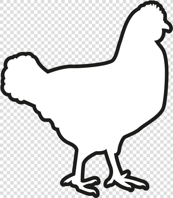 Transparent Gallina Png   T shirt  Png DownloadTransparent PNG