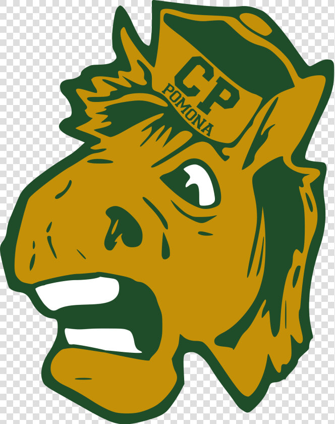 California Polytechnic State University Mascot  HD Png DownloadTransparent PNG