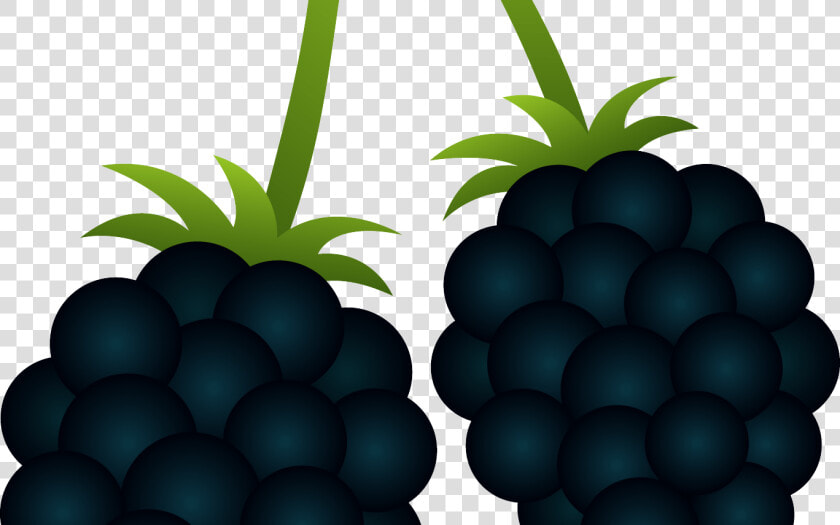 Transparent Berry Clipart   Clipart Blackberry Png  Png DownloadTransparent PNG