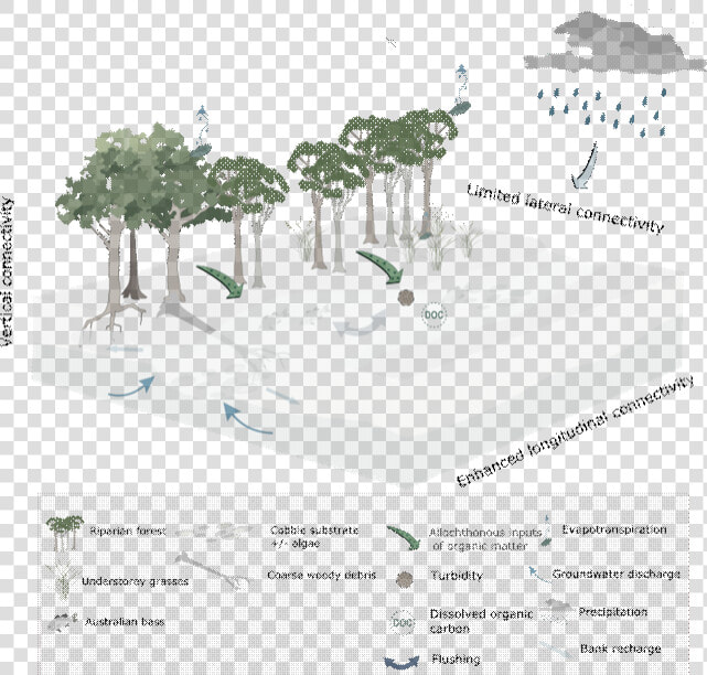 Figure 35 Conceptual Model Of Streams During Periods   Conceptual Model Instream Flows  HD Png DownloadTransparent PNG