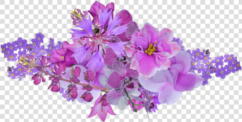  orquídeasblancas  orquideas  flores  flower   Lilac Flower White Background  HD Png DownloadTransparent PNG