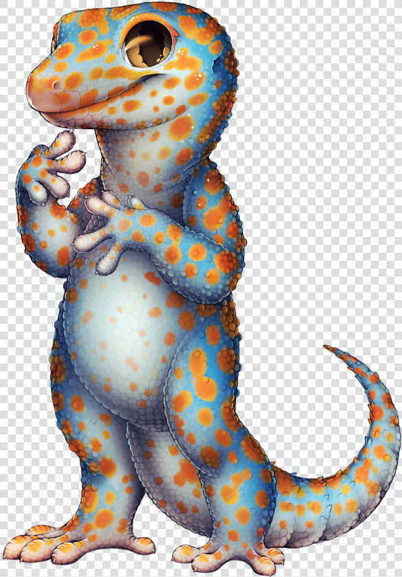 Furvilla Wiki   Gecko Tokay Png  Transparent PngTransparent PNG