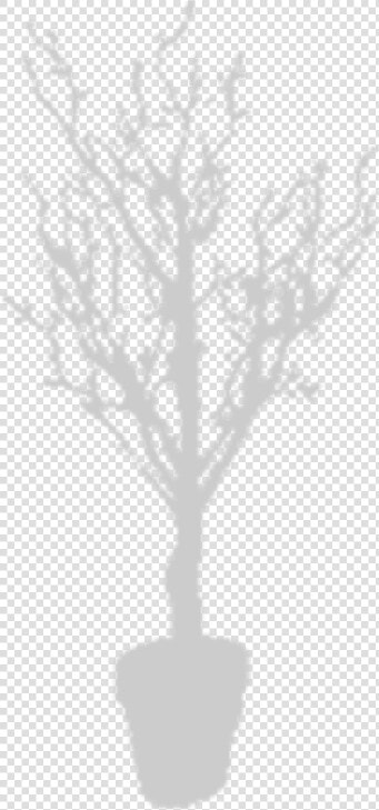 Houseplant  HD Png DownloadTransparent PNG