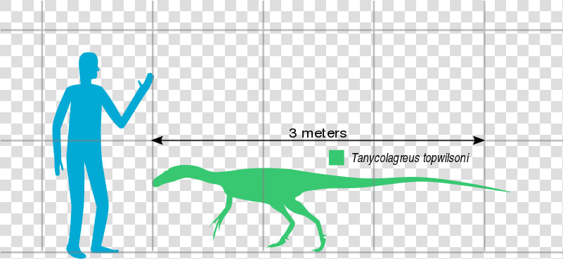 File   Tanycolagreus Scale   Svg   Lesothosaurus  HD Png DownloadTransparent PNG