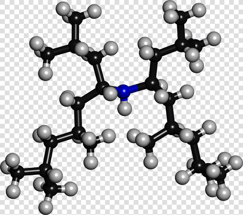 Amine S 24 3d Model Bonds   Amines 3d  HD Png DownloadTransparent PNG