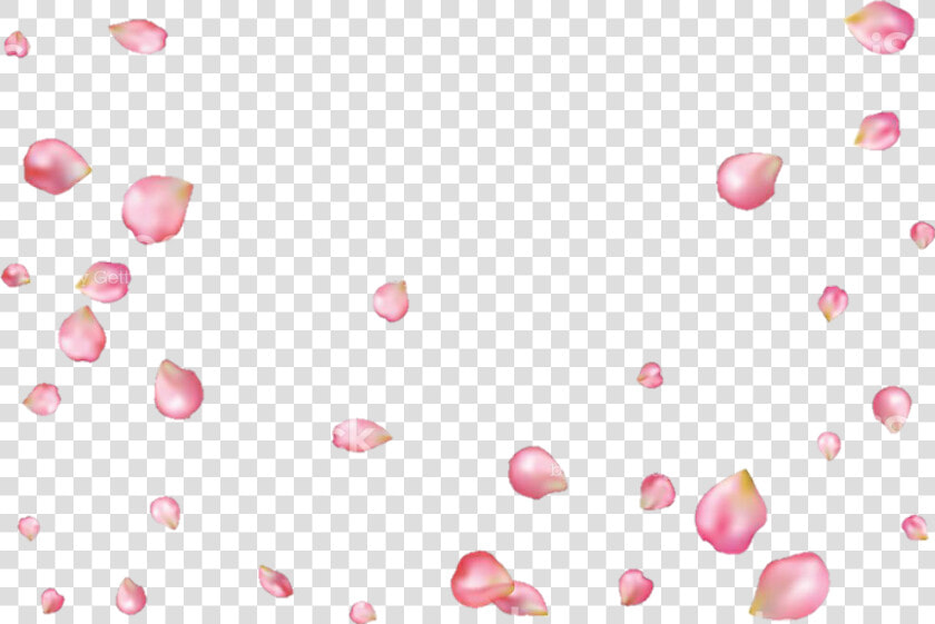  petalos  sakura  flordecerezo Petals  sakuratree   Pink Rose Petals Fly  HD Png DownloadTransparent PNG