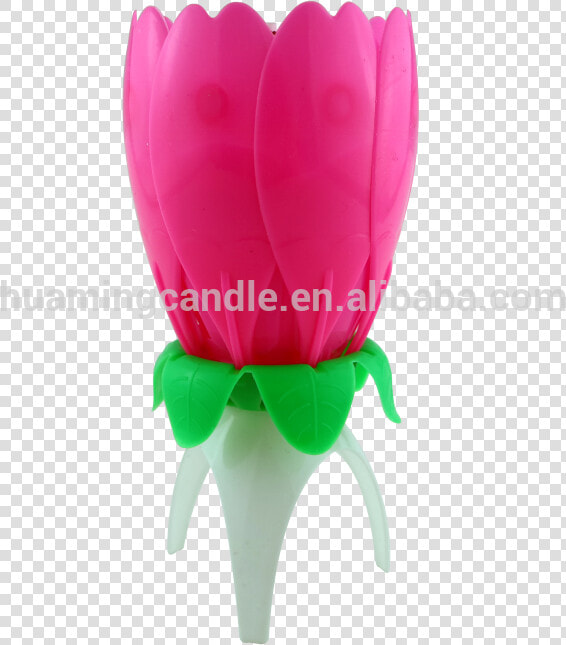 Flower Shape Birthday Candle Singing Happy Birthday  HD Png DownloadTransparent PNG