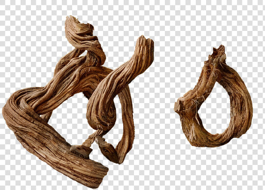 Tree  Japanese  Isolated  Tree Stump  Bark  Devoured   Driftwood  HD Png DownloadTransparent PNG