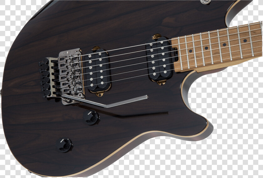 Evh Wolfgang Wg Standard Exotic Ziricote 2019 Natural   Jackson Pro Series Soloist Sl2p Mah  HD Png DownloadTransparent PNG