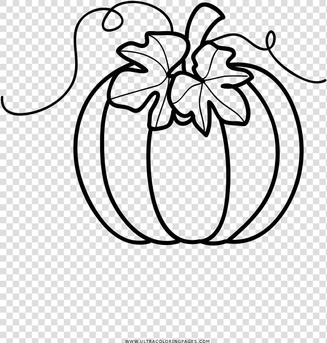 Hd Pumpkin Coloring Page   Pumpkin Clipart Color Page  HD Png DownloadTransparent PNG