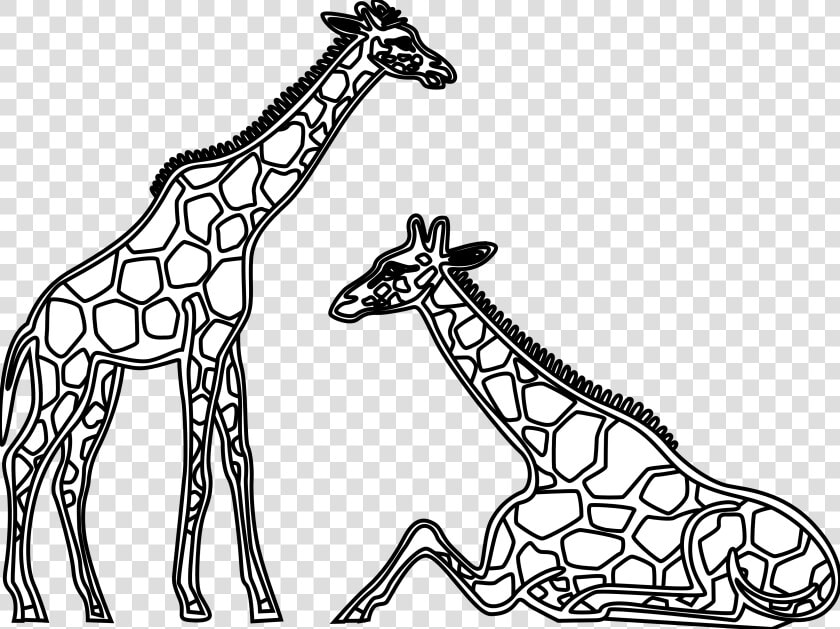 Panda Free Images   Giraffes Clipart Black And White  HD Png DownloadTransparent PNG