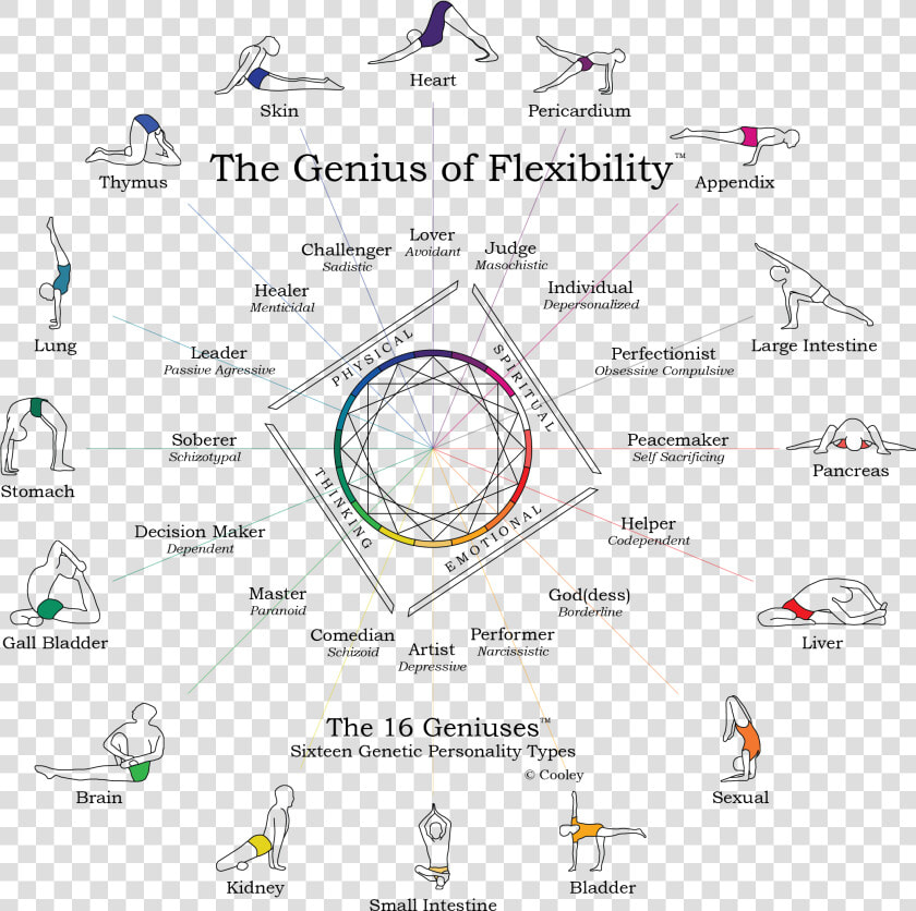 The Genius Of Flexibility   Genius Of Flexibility  HD Png DownloadTransparent PNG