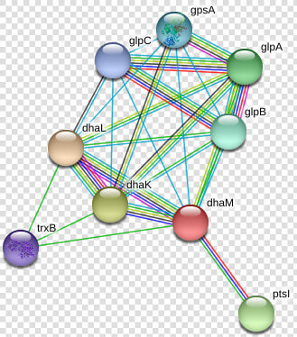 Dham Protein   Circle  HD Png DownloadTransparent PNG