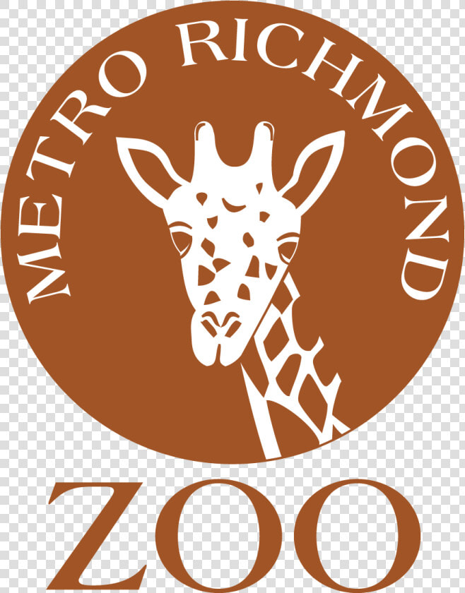 Transparent Chester Cheetah Png   Richmond Zoo  Png DownloadTransparent PNG