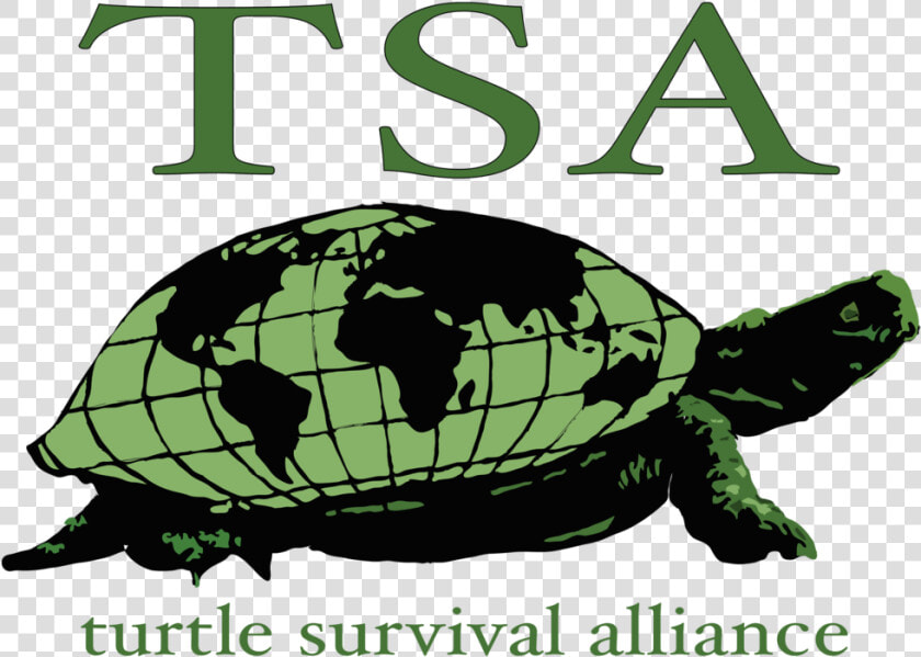 Turtle Survival Alliance   Turtle Survival Alliance Logo  HD Png DownloadTransparent PNG