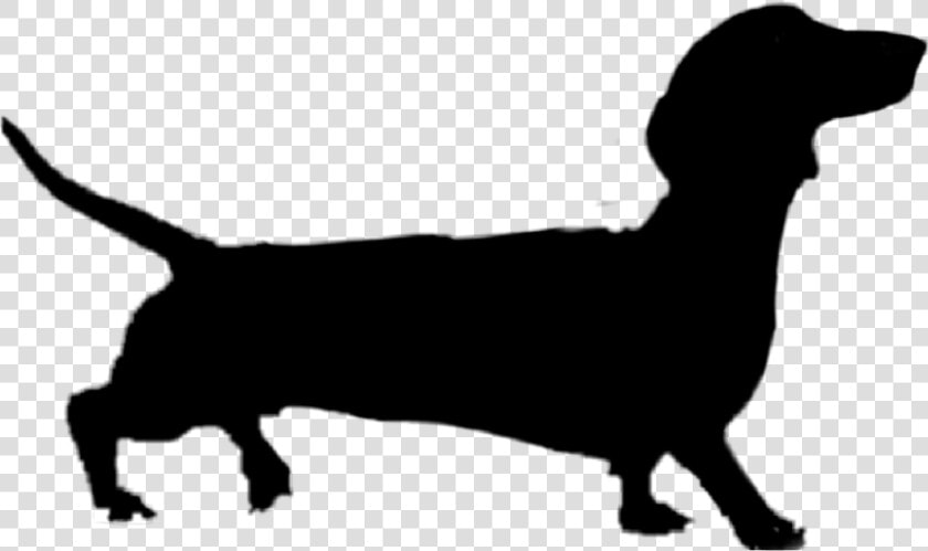  dog  silhouette  weinerdog  weinerdogsilhouette  dogsilhouette   Weiner Dog Pumpkin Carving Stencil  HD Png DownloadTransparent PNG