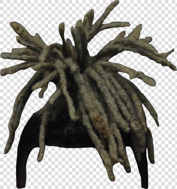 Xxxtentacion Dreads Png   Dreads Png  Transparent PngTransparent PNG