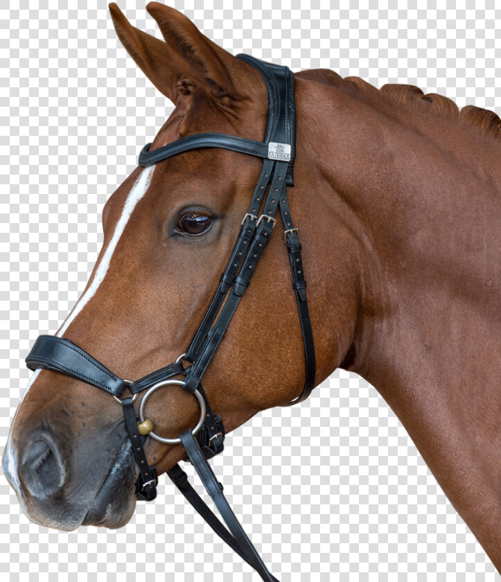 Transparent Horse Mask Png   Fairfax Drop Noseband Bridle  Png DownloadTransparent PNG