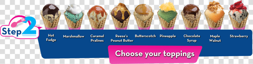 Baskin Robbin Png Transparent Images   Baskin Robbins Toppings  Png DownloadTransparent PNG