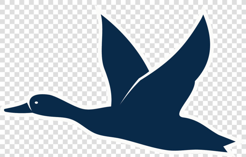 Alaska Duck Hunting   Duck  HD Png DownloadTransparent PNG