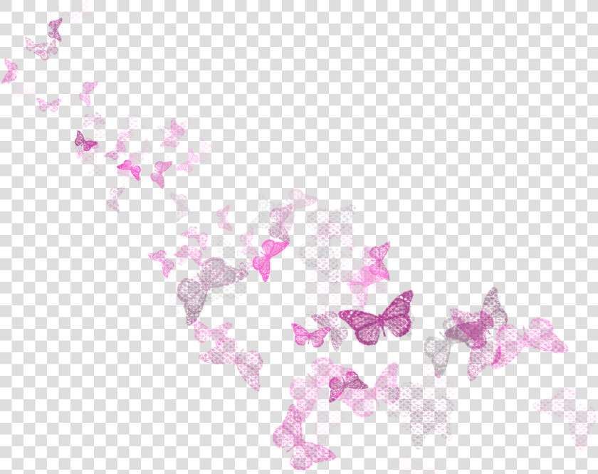 Butterflies Decoration Png Clipart Picture   Pink And White Butterfly Png  Transparent PngTransparent PNG