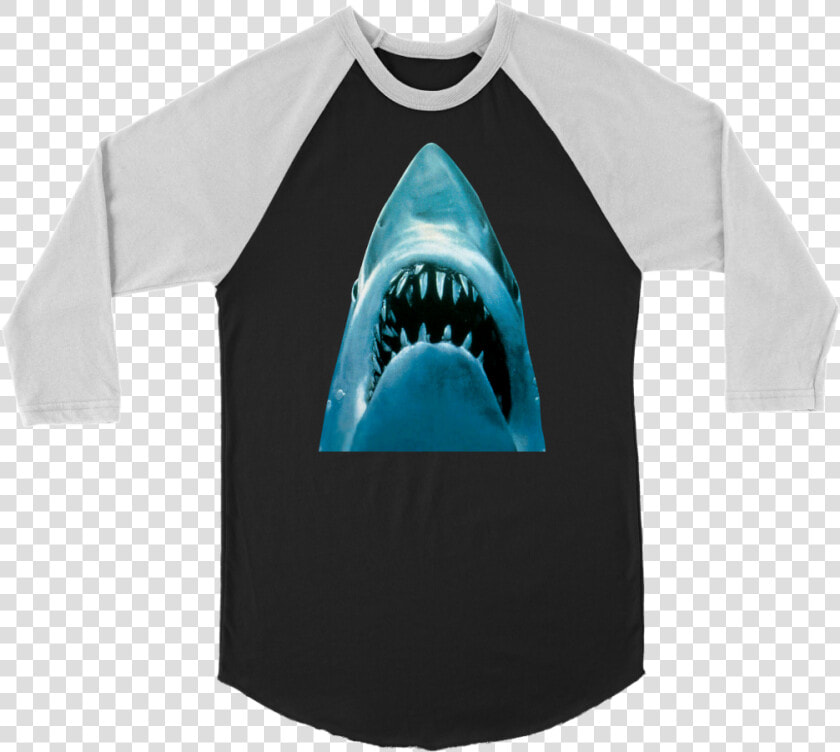 Raglan Sleeve  HD Png DownloadTransparent PNG