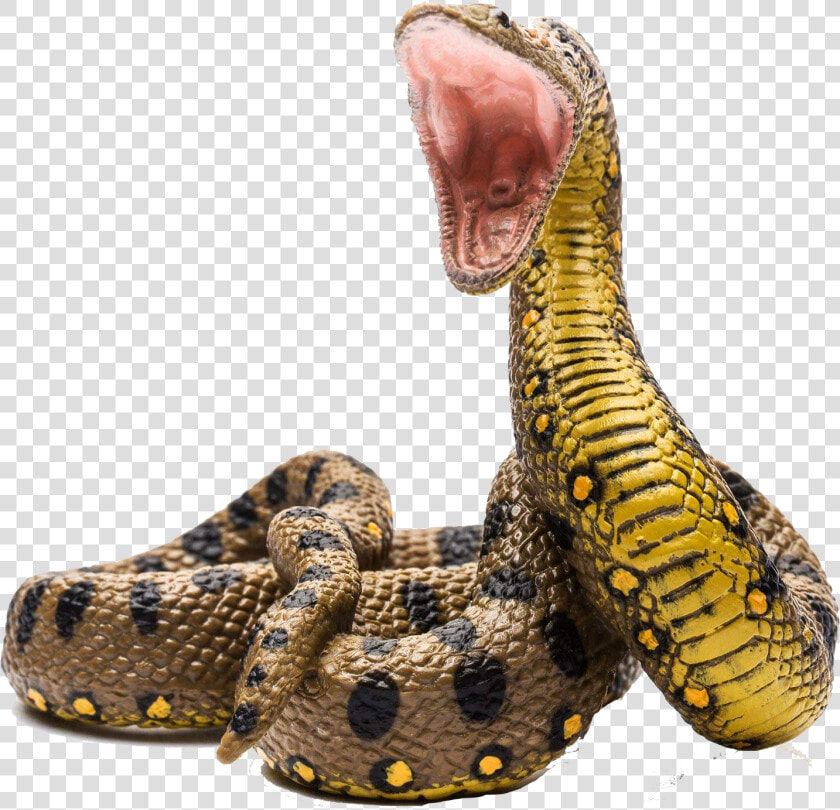 Collecta Green Anaconda   Png Download   Collecta Anaconda  Transparent PngTransparent PNG