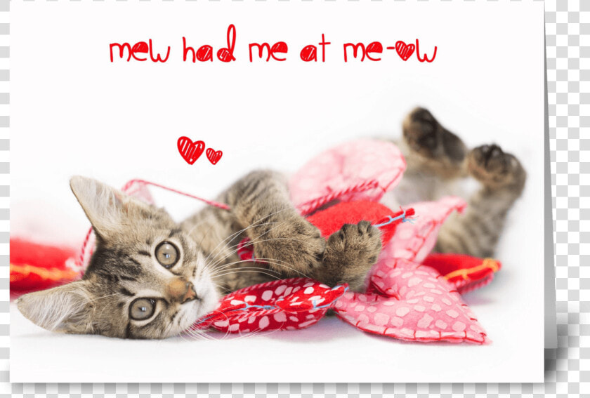 Tabby Kitten Meow Valentine Greeting Card   Cat Grabs Treat  HD Png DownloadTransparent PNG