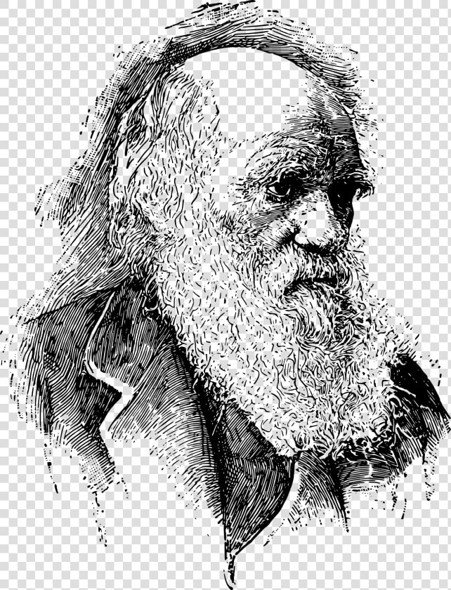 Evolutionary Medicine And Darwin  HD Png DownloadTransparent PNG