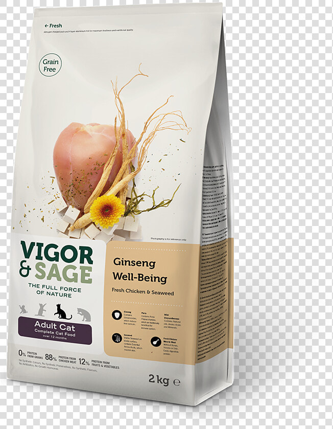 Vigor  amp  Sage Cat  HD Png DownloadTransparent PNG