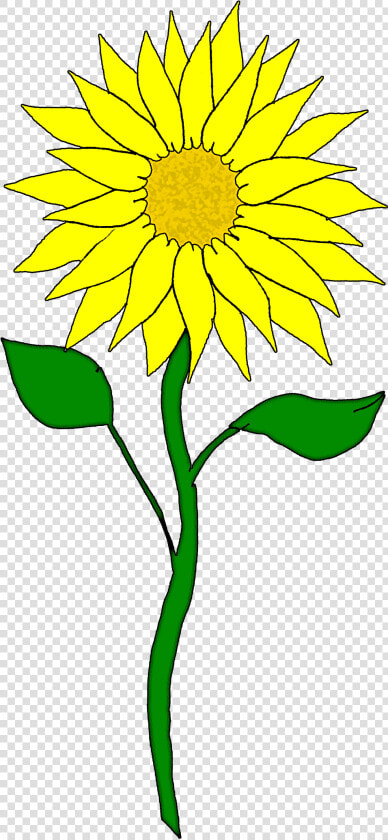 Yellow Cliparts Png August Sunflower   Sunflower Clipart  Transparent PngTransparent PNG