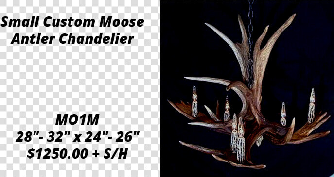 Moose Antler Chandeliers   Deer  HD Png DownloadTransparent PNG