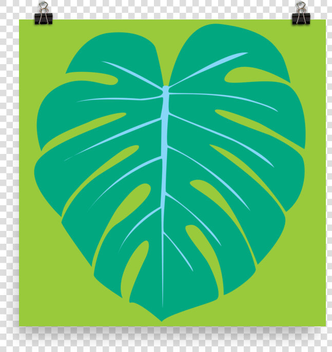 Monstera Leaf 2 By Graeme Luey   Illustration  HD Png DownloadTransparent PNG